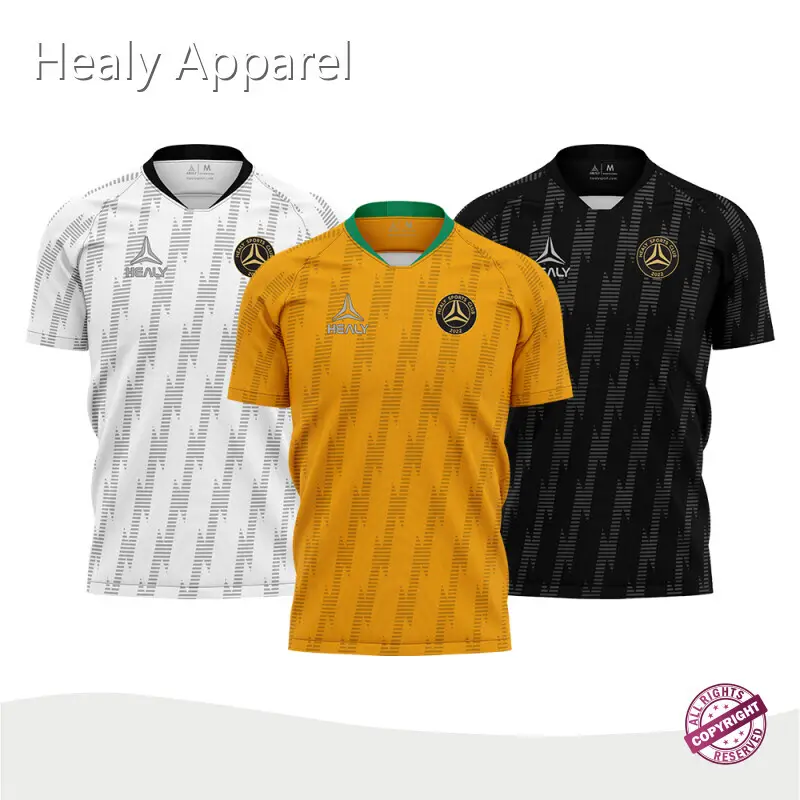 Bulk Soccer Jerseys Cheap Manufacturer Healy Sportswear Accept Customized Labels 1