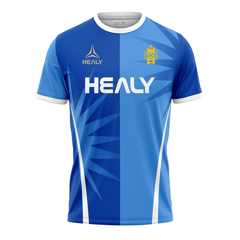Healy- ს მორგებული გამძლე მაგარი საფეხბურთო მაისური ელეგანტური გაყოფილი ლურჯი ნიმუში ფეხბურთის ტარება გუნდის მომხრეებისთვის 1