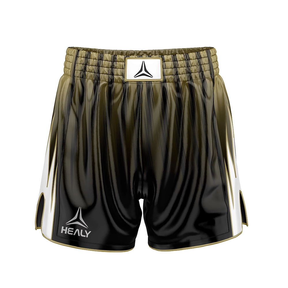 HEALY Fully Personalized Breathable Trendy Boxing Shorts Fight Trunks Athletic Boxing Bottoms for Sports Lovers 1