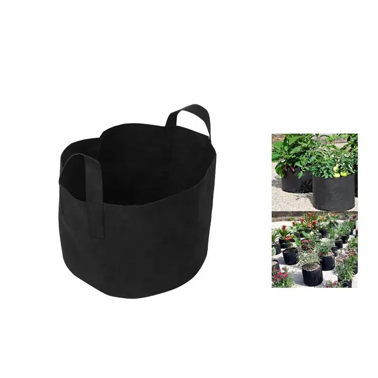 Tianyi Hot Sale Plant Grow Bags Wholesale Extraction Plant for B2b B2c 2