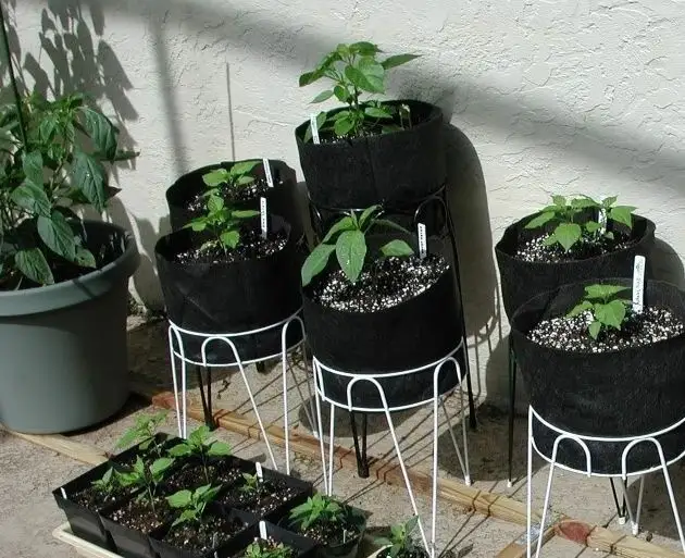 Tianyi Hot Sale Plant Grow Bags Wholesale Extraction Plant for B2b B2c 3