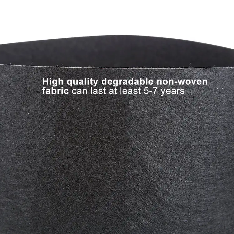 Tianyi Hot Sale Plant Grow Bags Wholesale Extraction Plant for B2b B2c 7