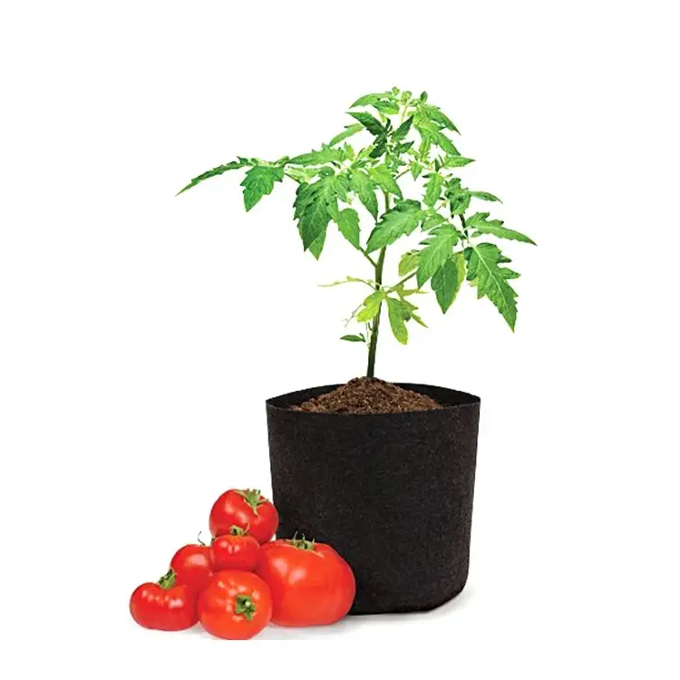7 Gallon Plant Grow Bags 330ML for Retailing Tianyi Tianyi 6
