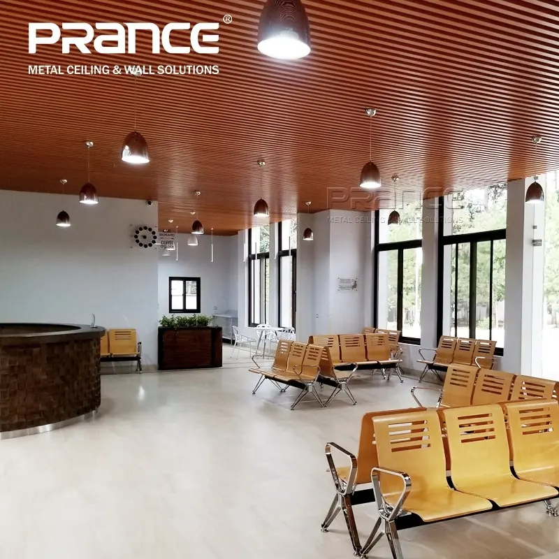 Custom Curved Teiling Panels Aluminium Alloy PRANCE 6