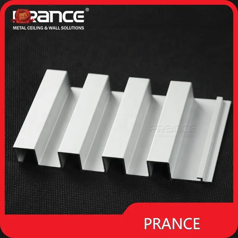 PRANCIA Metal Wall Panel Aluminium Alloy Customized 1