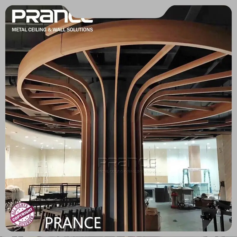 Hot Sky Curve Panel 30-200 Mm PRANCE Brand 1