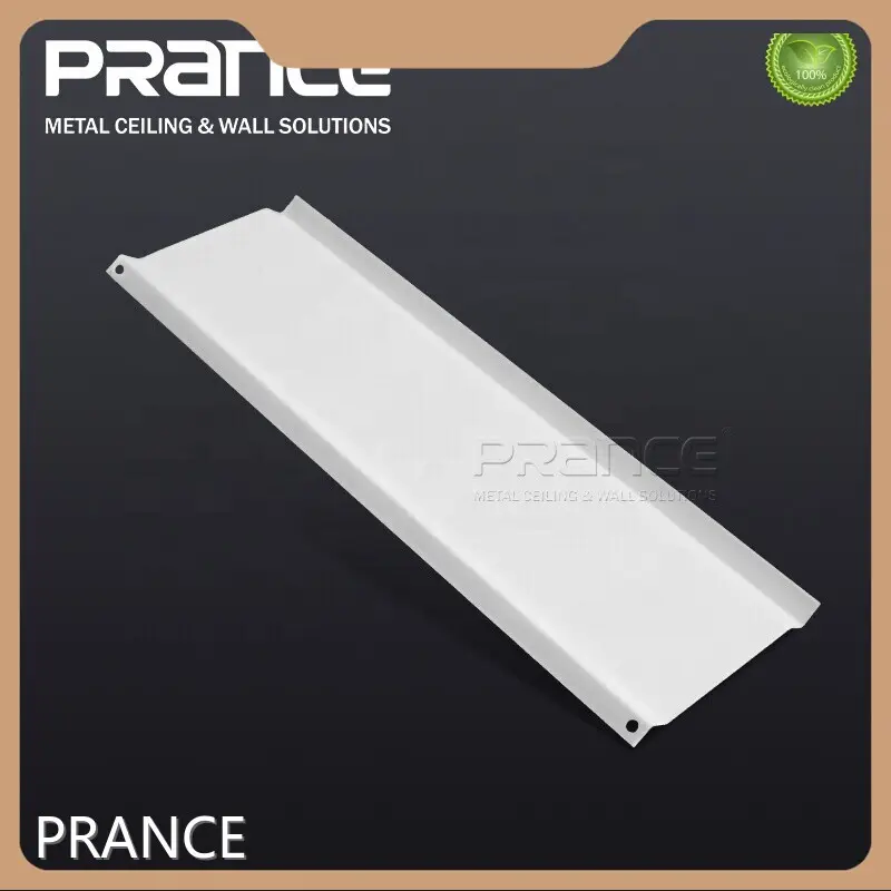 Decorative Metal Ceiling Panels PRANCE Brand Hotel ; Plaza ; Shopping Malleus; Statio TECTUM System 1