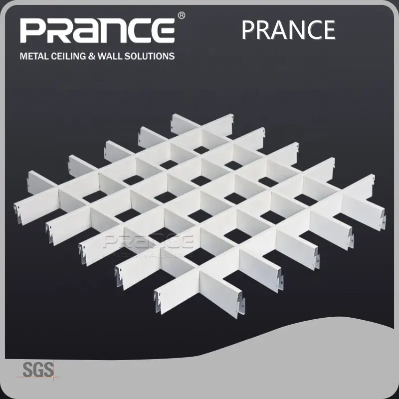 Quality PRANCE Brand Metal Grille Tectum Office Building 1