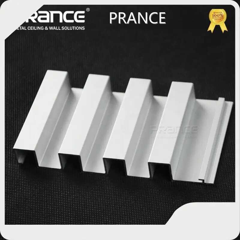 Metal Great Wall Panel Customized Technical Necessitas Online Technical Support PRANCE Brand Metal Great Wall Panel 1