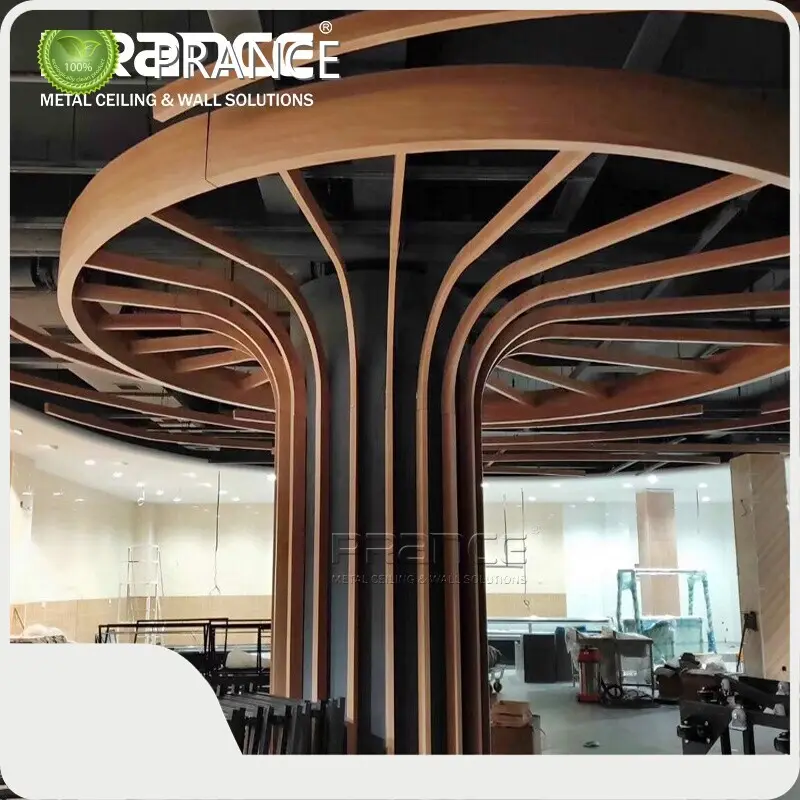 Curva Acoustic Laquearia Alii Soundproof 0.6-1.5 Mm PRANCE Brand Company 1