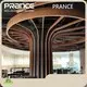 Curva Acoustic Tectum Panels Modern PRANCE Brand Gym 1