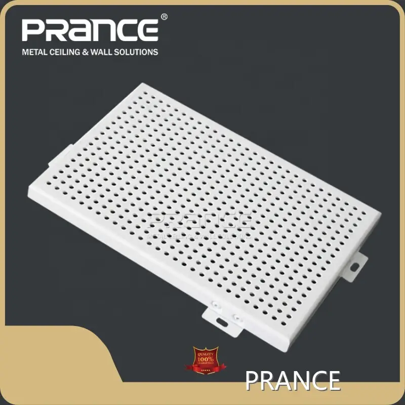 PRANCE Perforated Metal Panels Brand Artium Effectum PRANCE Manufacture 1