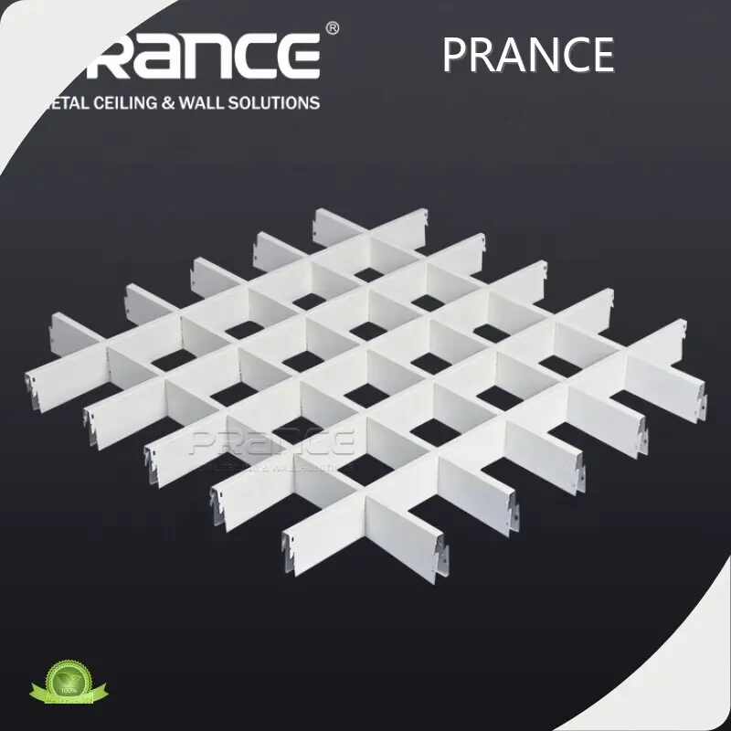 PRANCE Aluminium Intermissa Tectum Grid 10/15mm PRANCE 1