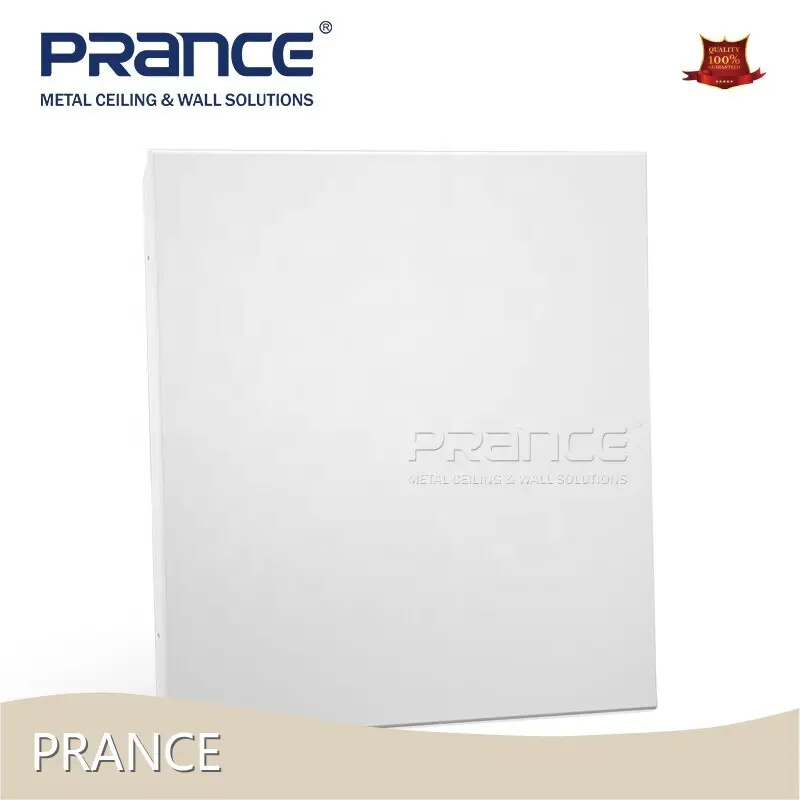 PRANCE Brand Metal Tectum Clips Powder Coating Factory 1