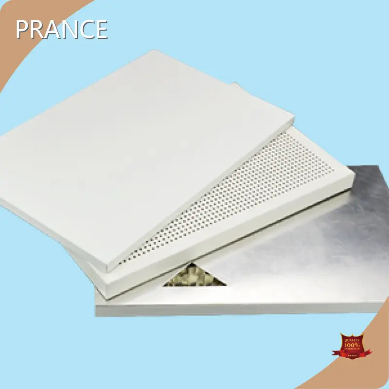 PRANCE Aluminium Solidum Panel for 1