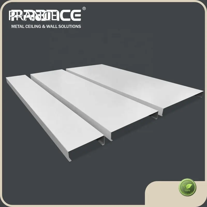 Metal Ceiling Panels Plain - - PRANCE 1