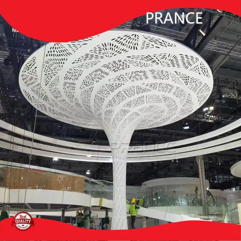 PRANCE Brand Metal Panel Supplier Customed Customed Technical Requirement Total Solution for Projects 1