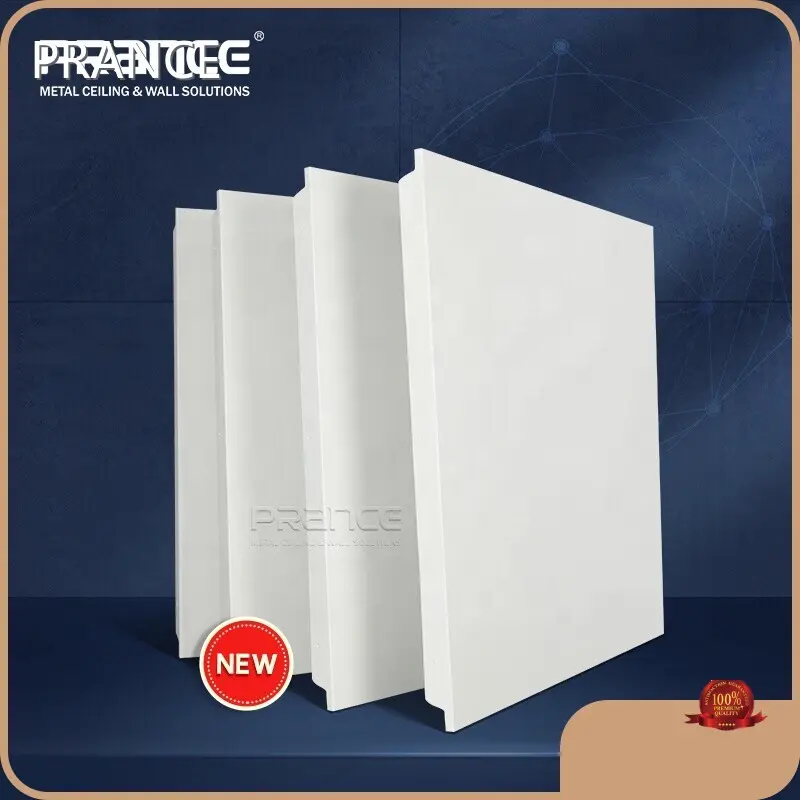 Aluminium Clip in Tectum PRANCE Tegulas Square Custom Metric Or British System Clip in Ceiling 1