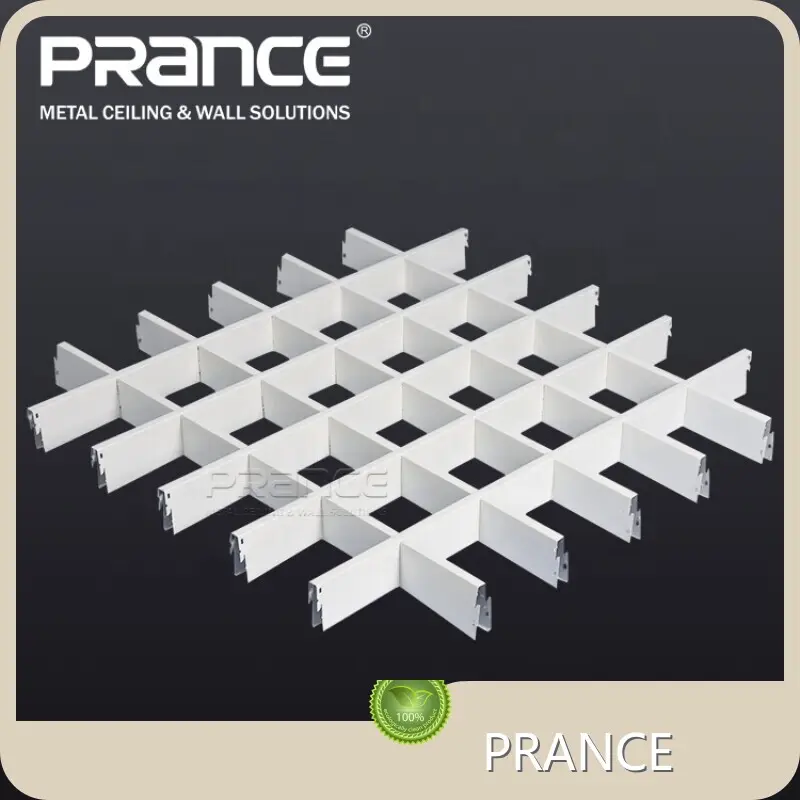 PRANCE High-qualis Open Cell Tegularum Tegularum 10/15mm 1
