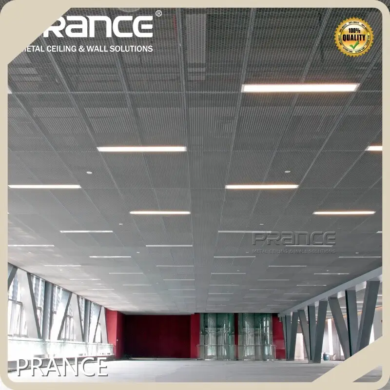 Tutus Curvis Mesh Panel customized Online Technical Support PRANCE Brand aqua Probatur 1