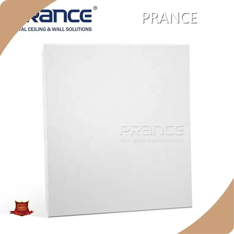 Custom Clip in Metal Ceiling New PRANCE 1