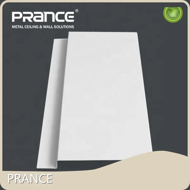 Custom Metal Ceiling Solution Custom | PRANCE 1