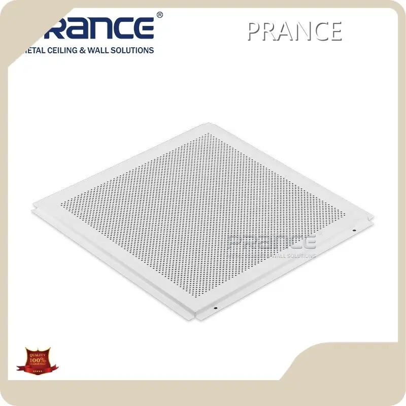 LatestPRANCE Aluminium Ceiling Tiles Wholesalers - Modern 1