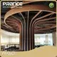 Custom Curved Teiling Panels PRANCE 1
