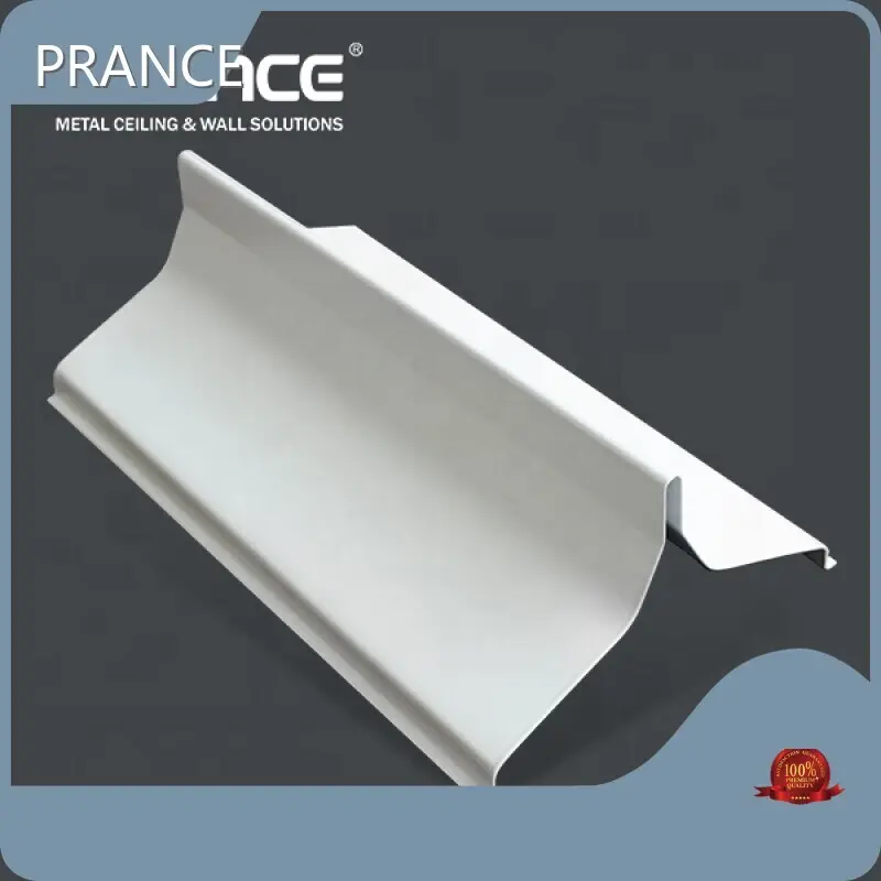 Metallum Commercial Tectum Superficiem Lenitatem et Securus Purgatio PRANCE Company 1
