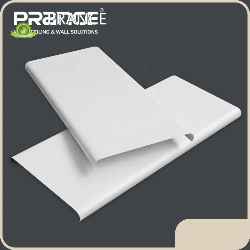 Metallum Topmetal Ceiling Company 1