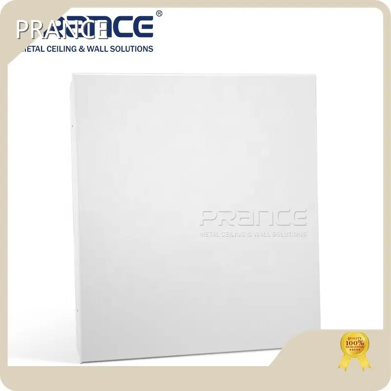 Customclip in Metal Ceiling Tiles PRANCE Brand 1