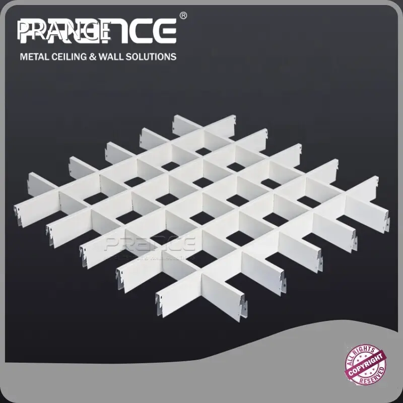 Custom Aluminium Intermissa Tectum Grid Grid PRANCE 1