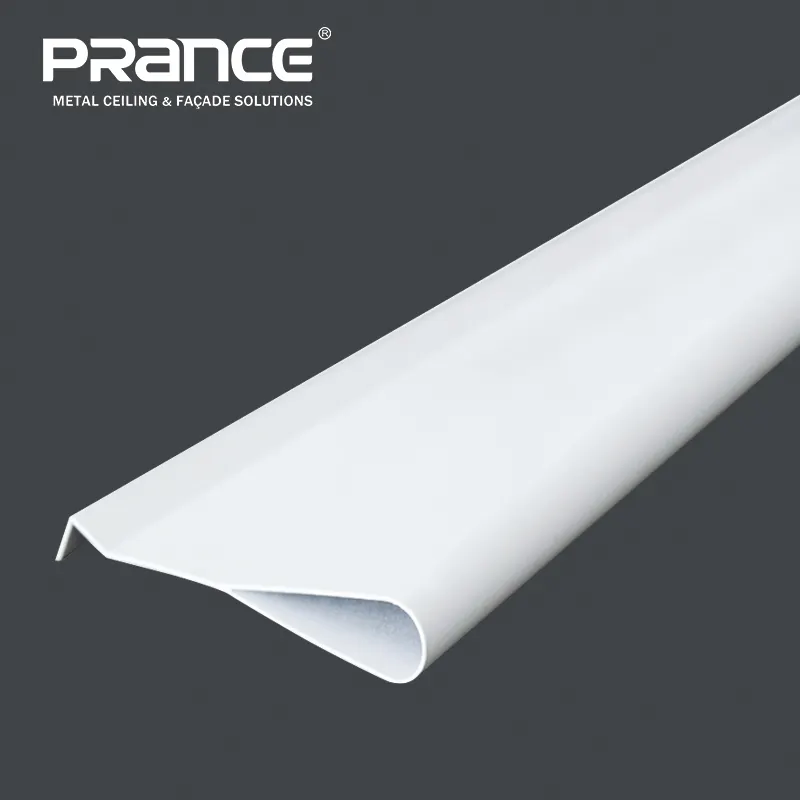Custom Metal Panel Metric Or British System PRANCE Company 2
