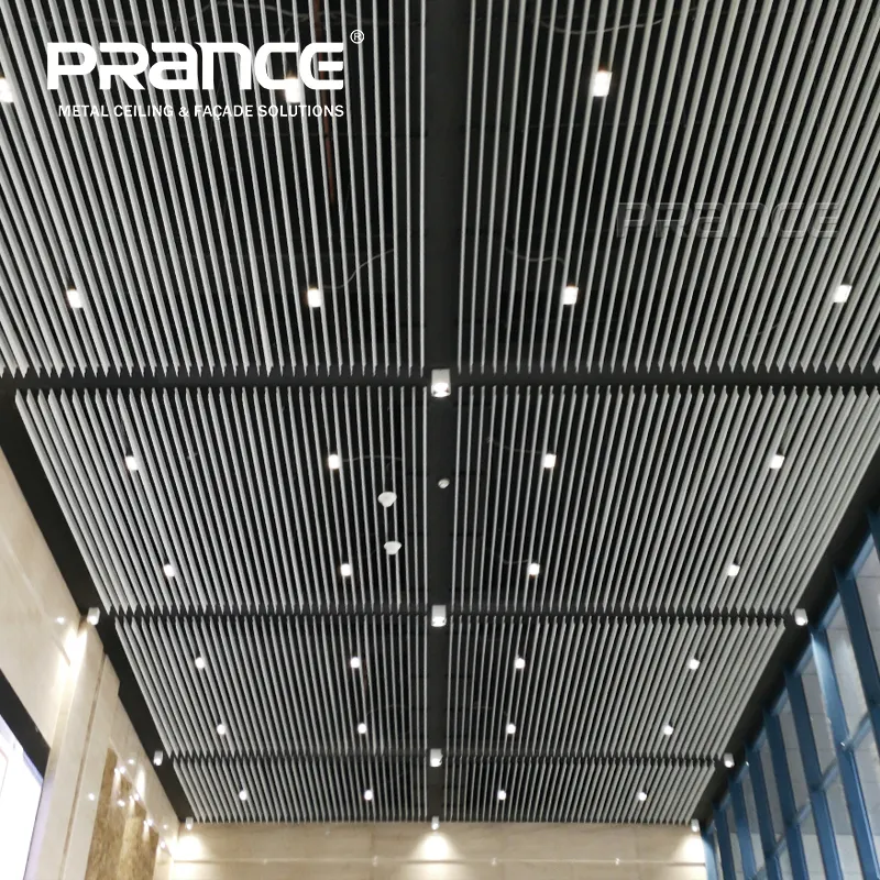 Custom Metal Panel Metric Or British System PRANCE Company 6