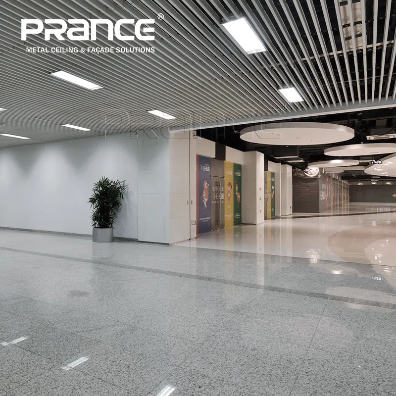 Custom Metal Panel Metric Or British System PRANCE Company 7