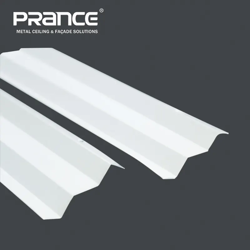 Custom Metal Baffle Manufacturer Manufacturer | PRANCE 2