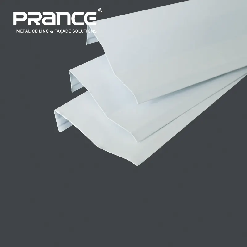 Custom Metal Baffle Manufacturer Manufacturer | PRANCE 4