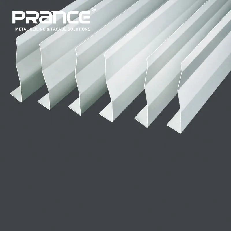 Custom Metal Baffle Manufacturer Manufacturer | PRANCE 5