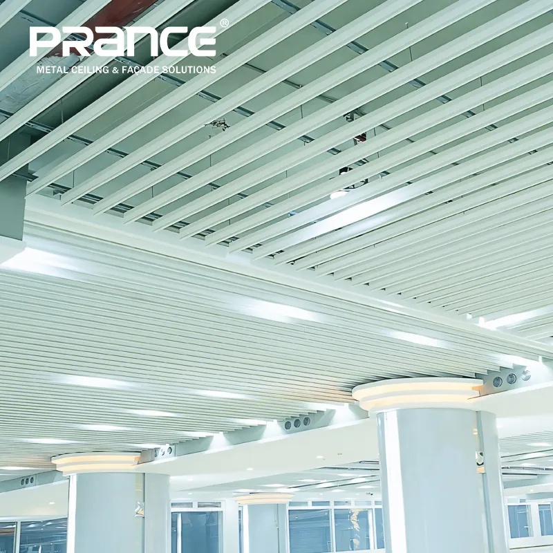Custom Metal Baffle Manufacturer Manufacturer | PRANCE 7