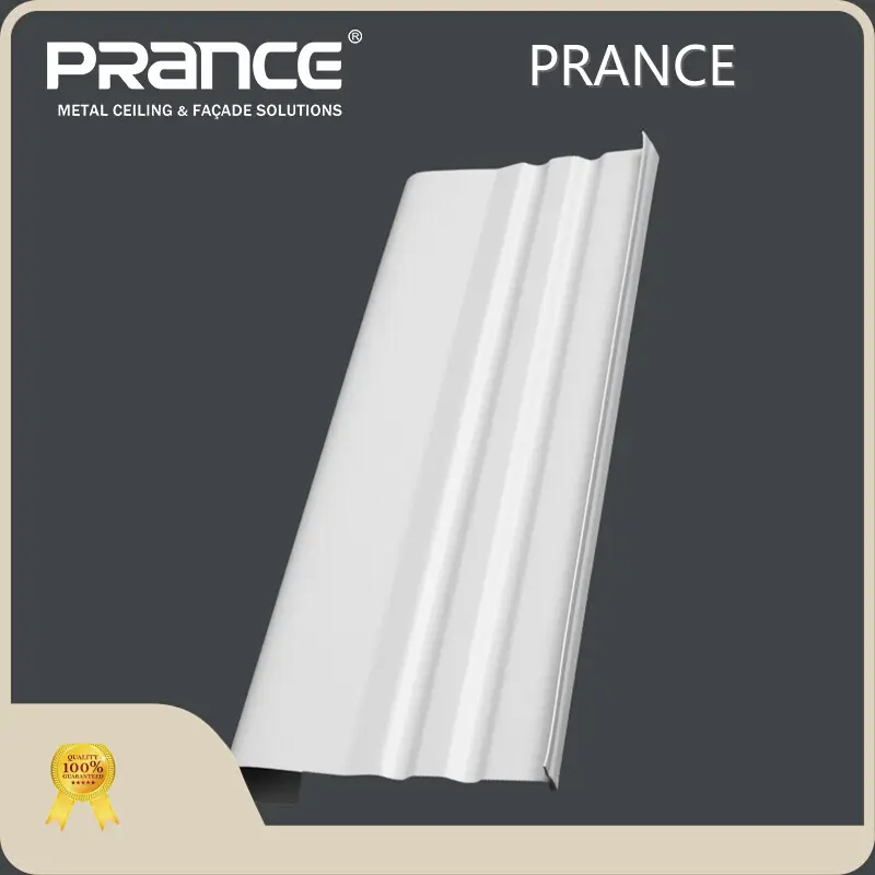 Metal Panel Manufacturer PRANCEJ-Bafflesupplier 1