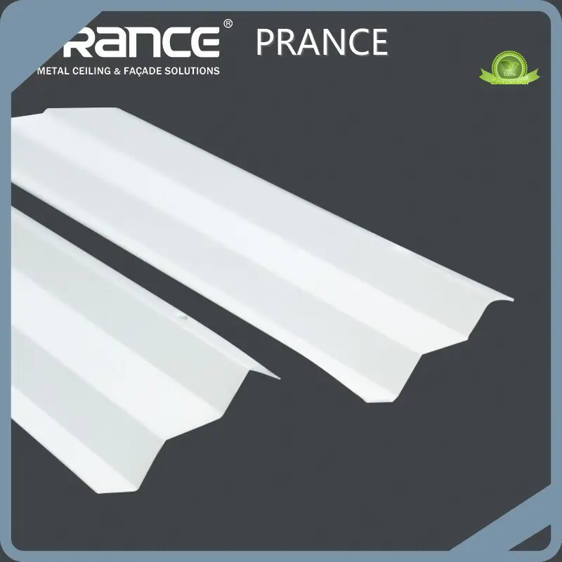 Metal Ceiling Panels Powder Coated Wholesale - PRANCE 1