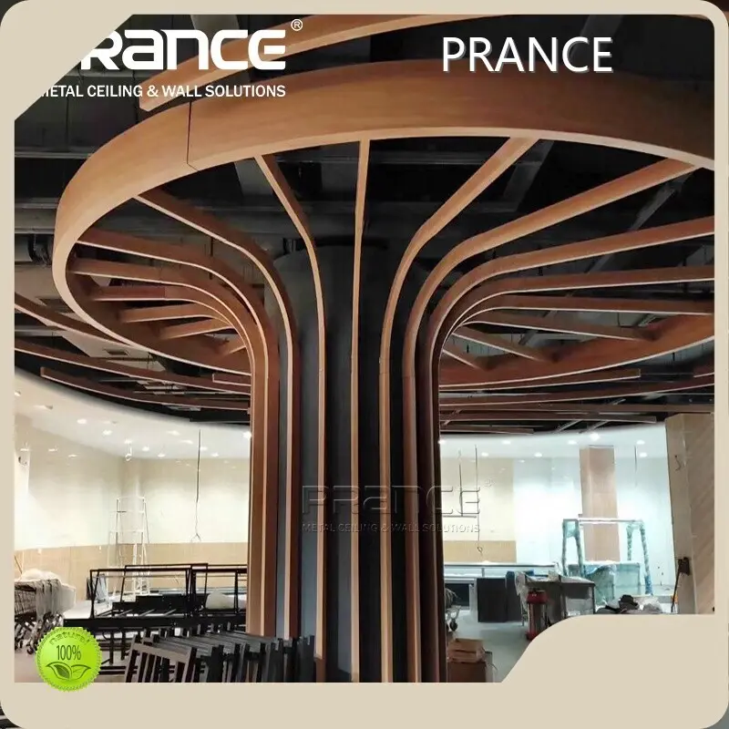 QUALITAS PRANCE Aluminium Baffle Ceiling 1