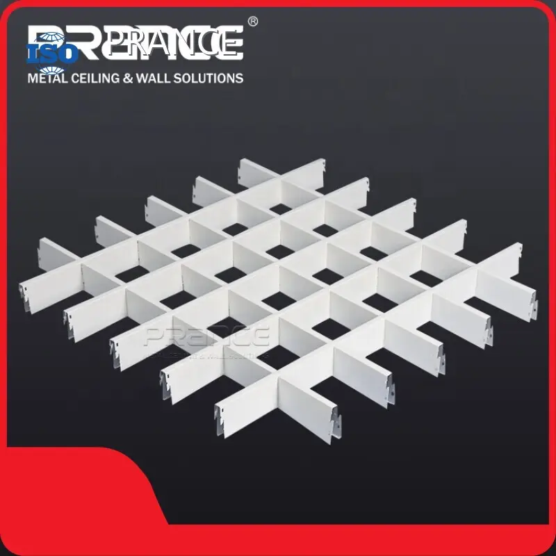 Top Open Tectum Square Lay-in PRANCE Manufacture 1
