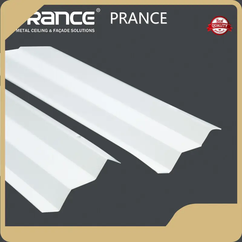 Custom Metal Baffle Manufacturer Manufacturer | PRANCE 1