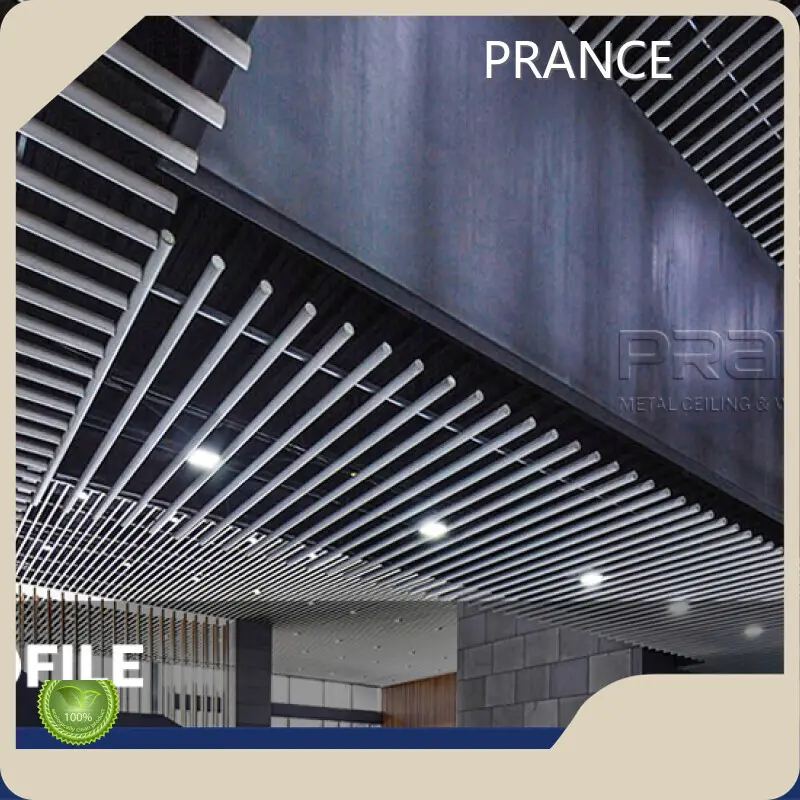 Hot Metal Baffle PRANCE Brand 1