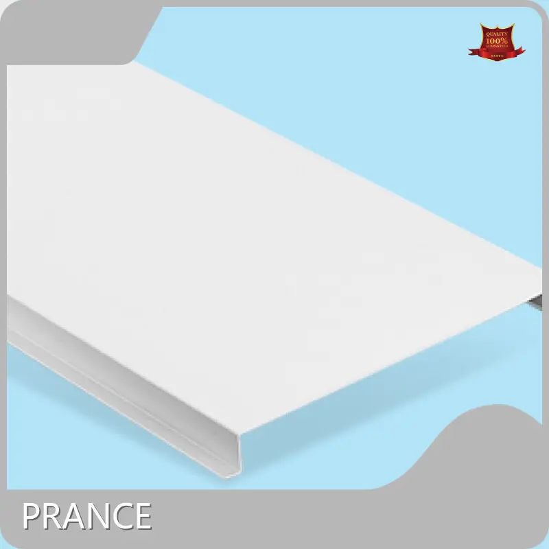 PRANCE High-qualis Steel Plank 1
