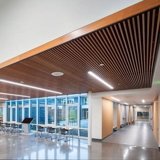 ​​Ceiling hung panels​​