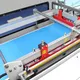 L Type Sealer Machine Alpha-Pack, 4