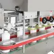 Hot Automatic Servo Driven Piston Filling Machine Alpha-Pack Brand 3