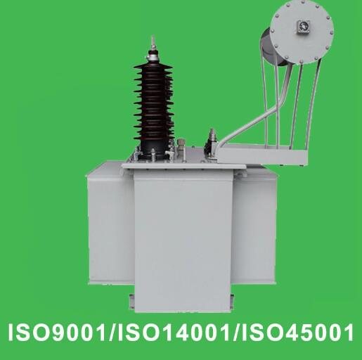 Bks-200kvar (150kvar 100kvar) 10kv Il Type Shunt Reactor - Ville ...